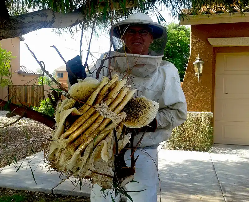 One of our Beekeepers Carrying a honeycomb